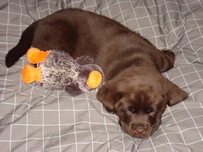 nash first day home.jpg